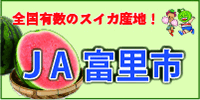 全国有数のスイカ産地！　JA富里市