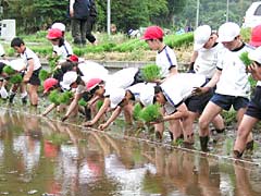 環境を生かした学習