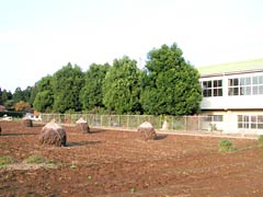 自然に囲まれた学校