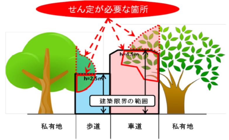 建築限界参考図