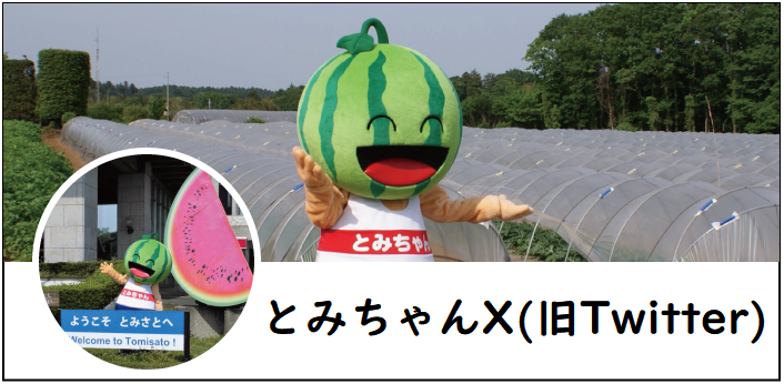 とみちゃんX画像