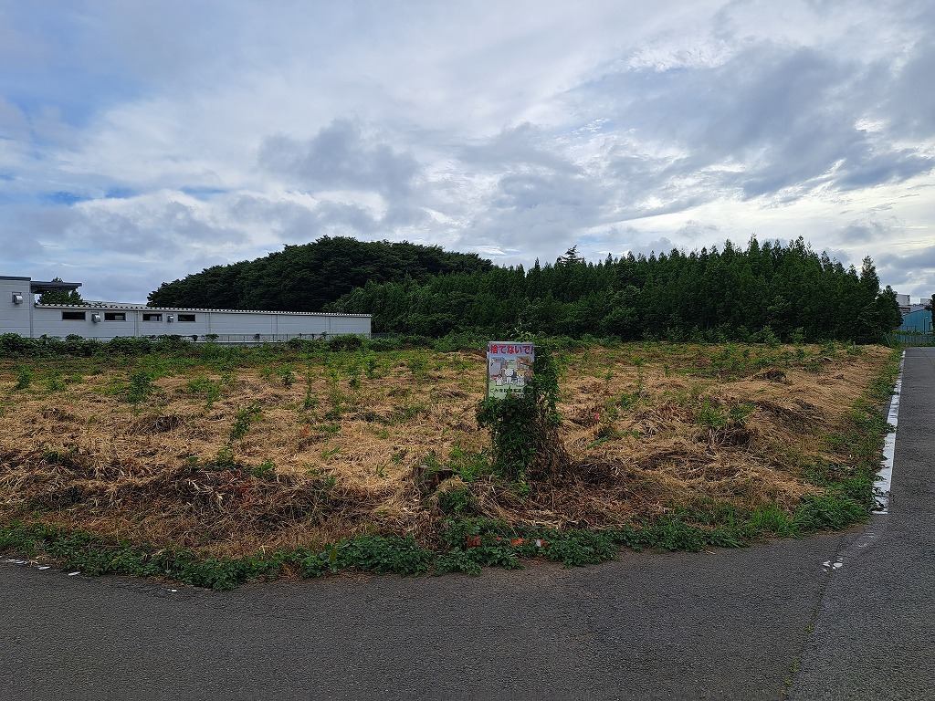 下刈り前9