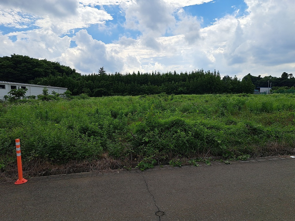 下刈り前6