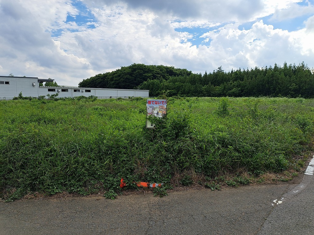 下刈り前7
