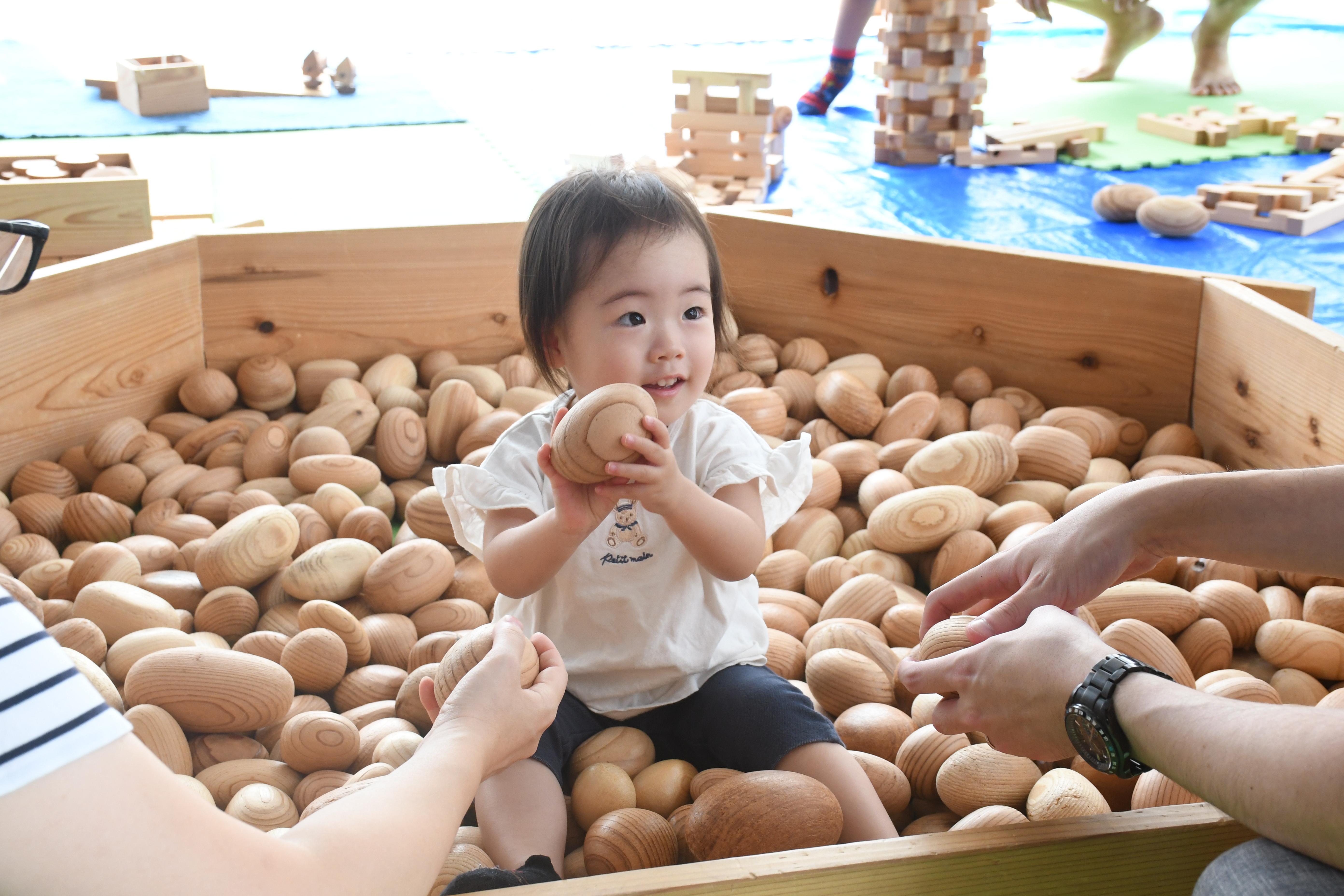 木のおもちゃの広場ボールプール