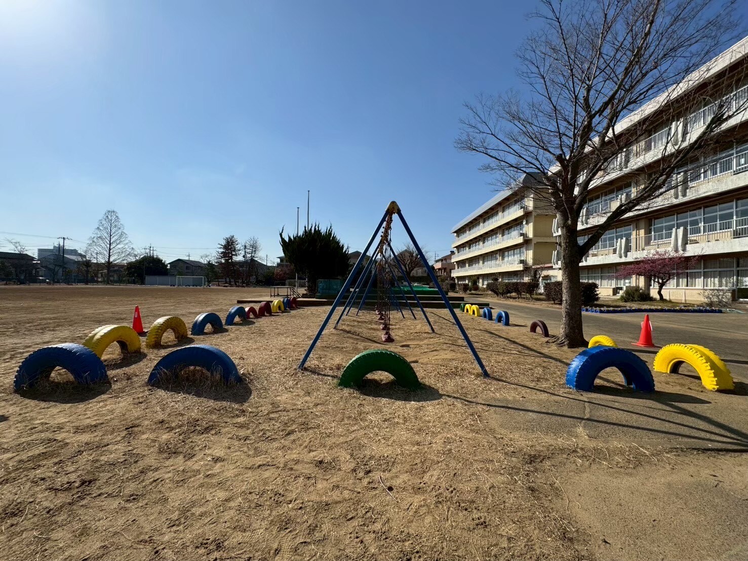 タイヤにペンキを塗った後の写真2