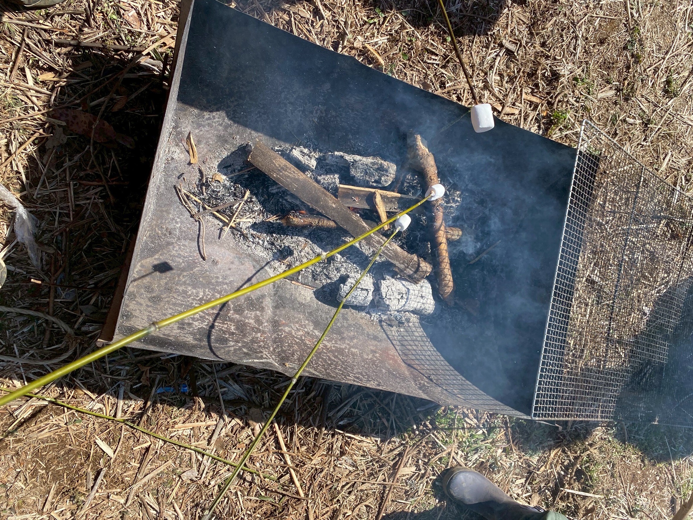 マシュマロ焼きの様子
