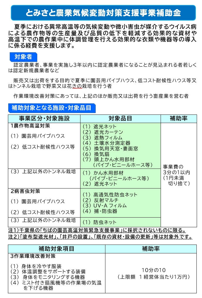 ちらし(表面)