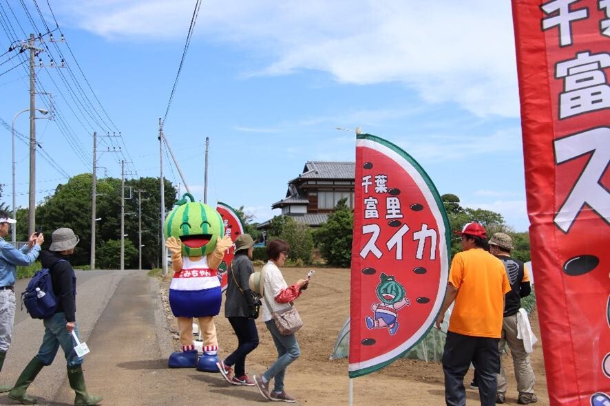 すいか畑に来た人をとみちゃんが出迎える様子