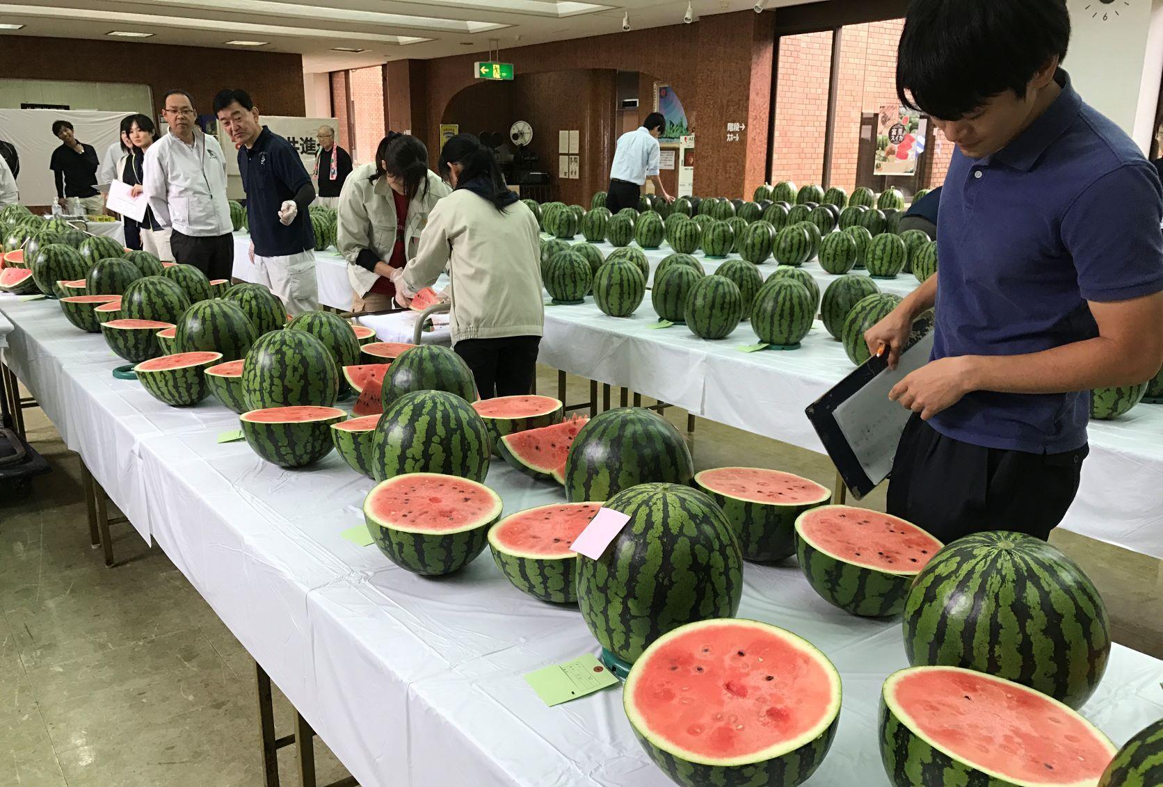 すいか共進会
