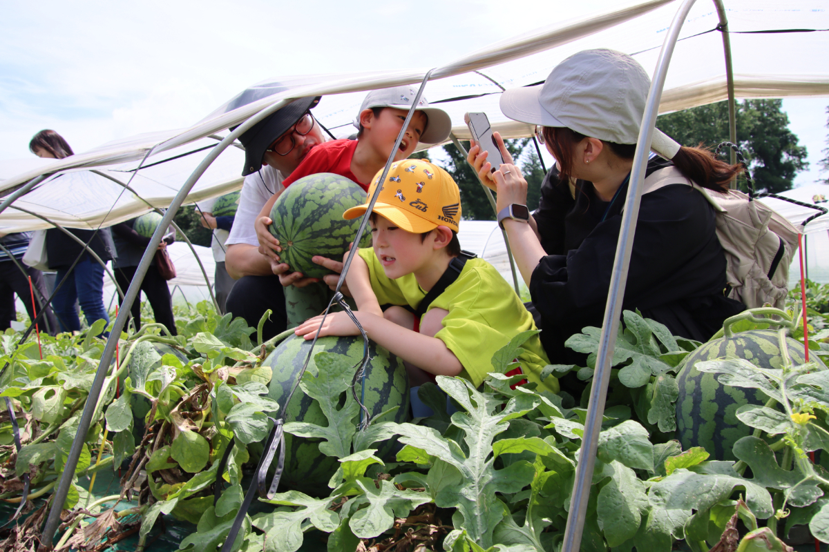大きなスイカが収穫できたよ！